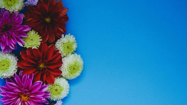 界的一致肯 界的一致肯